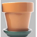 5 1/2" Terra Cotta Flower Pot